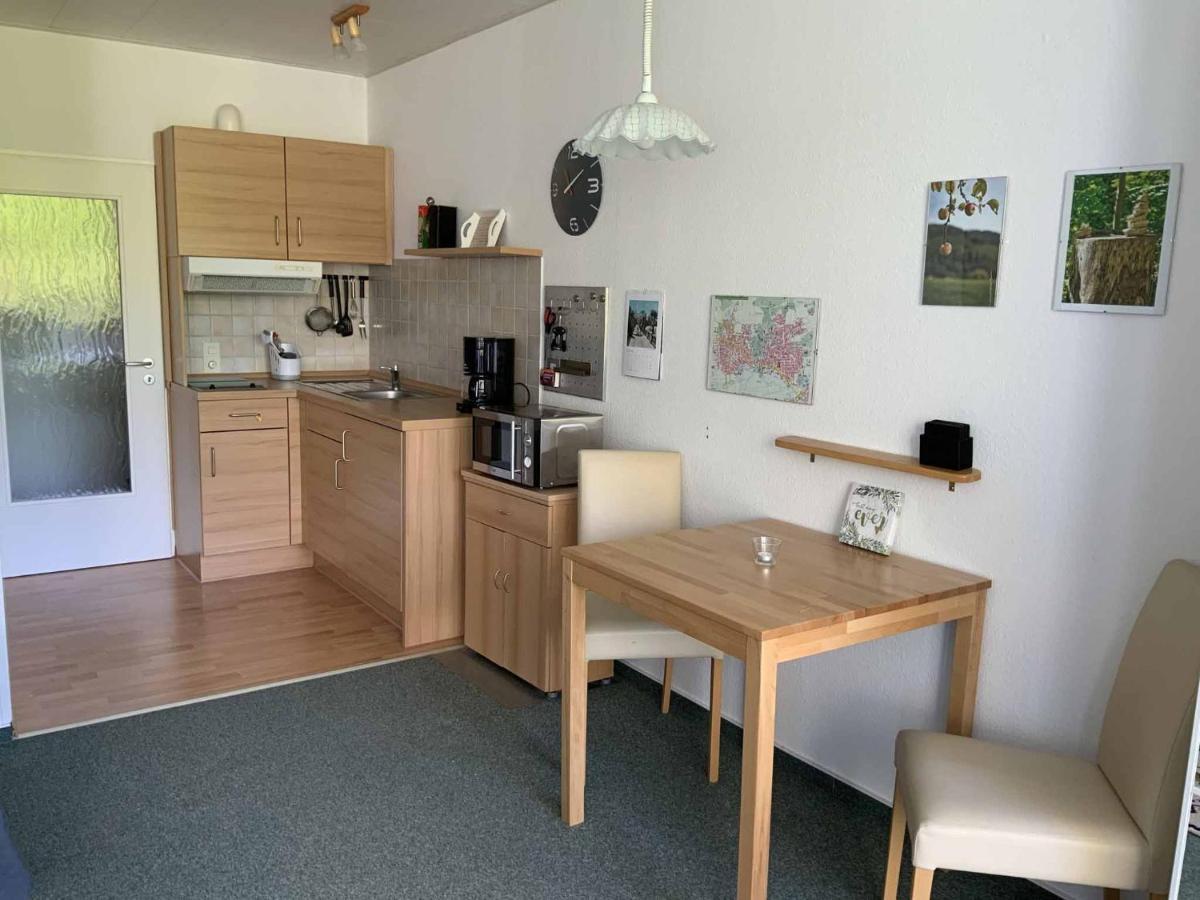 Appartement An Der Helenenquelle バート・ピルモント エクステリア 写真